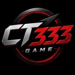 Ct333 Game