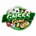 GN555 Game