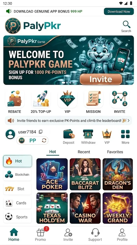 PalyPkr game